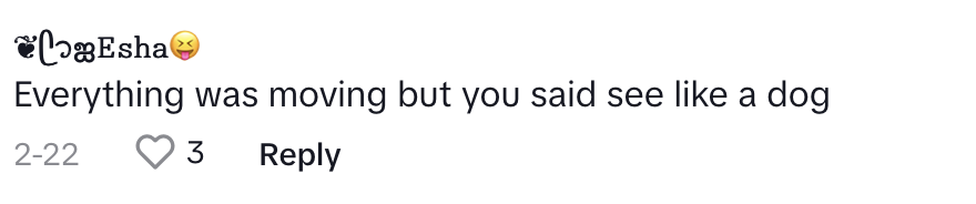 TikTok comment